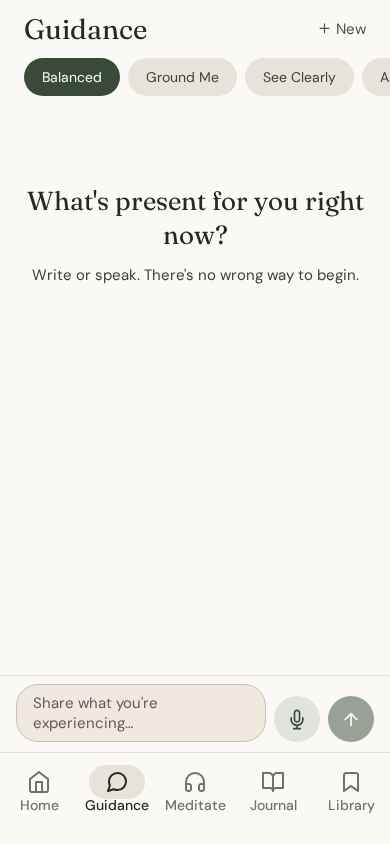 The Voice of Reason guidance screen, inviting a gentle reflection