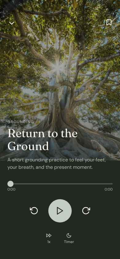 A guided meditation from The Voice of Reason set beneath a great tree